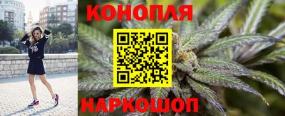стафф Моздок