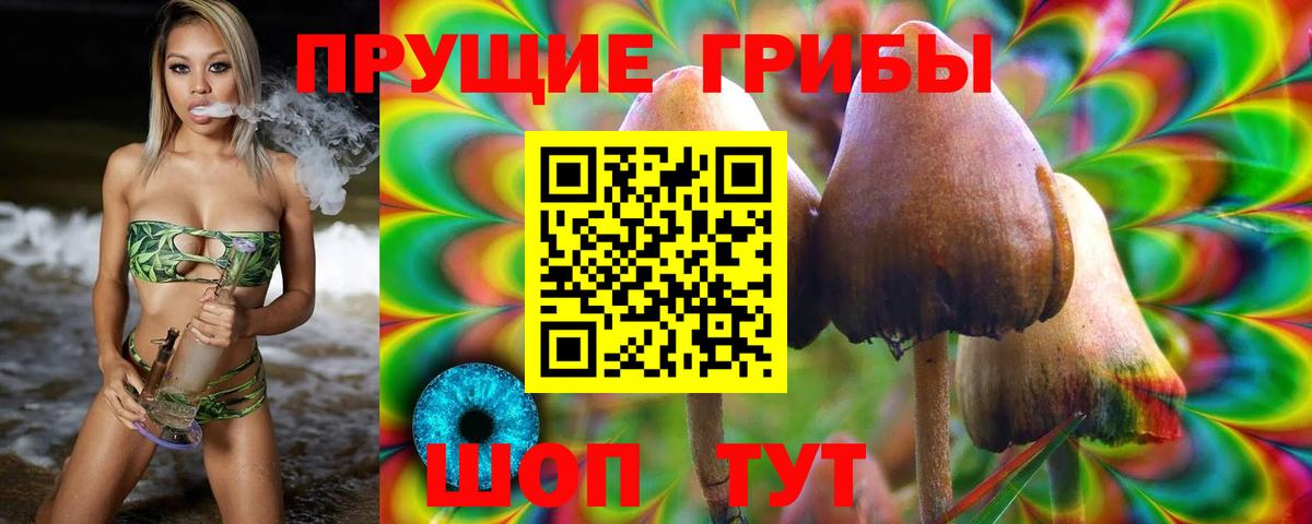 Псилоцибиновые грибы MAGIC MUSHROOMS Сызрань