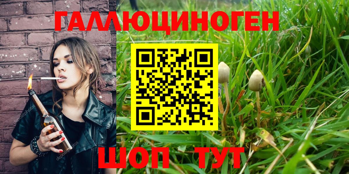 Псилоцибиновые грибы Psilocybine cubensis  Вход с VPN  Сызрань 